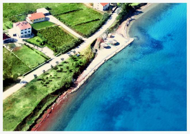 Villa Marija Hoek van Holland Ngoại thất bức ảnh